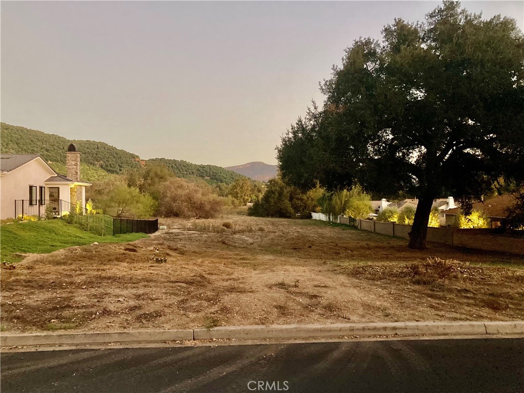 16221 Pauma Valley Drive Property Photo 4