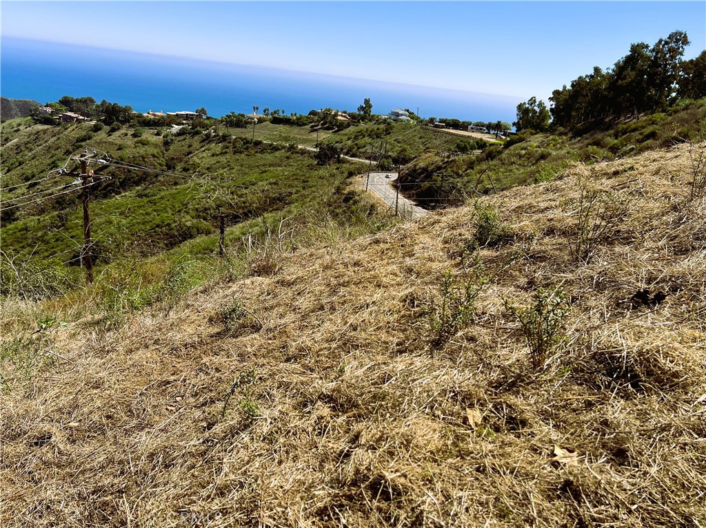0 Latigo Canyon Rd Property Photo 1