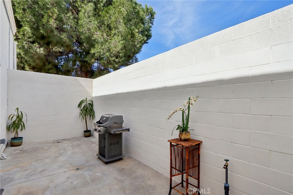 30325 San Jacinto Property Photo 23