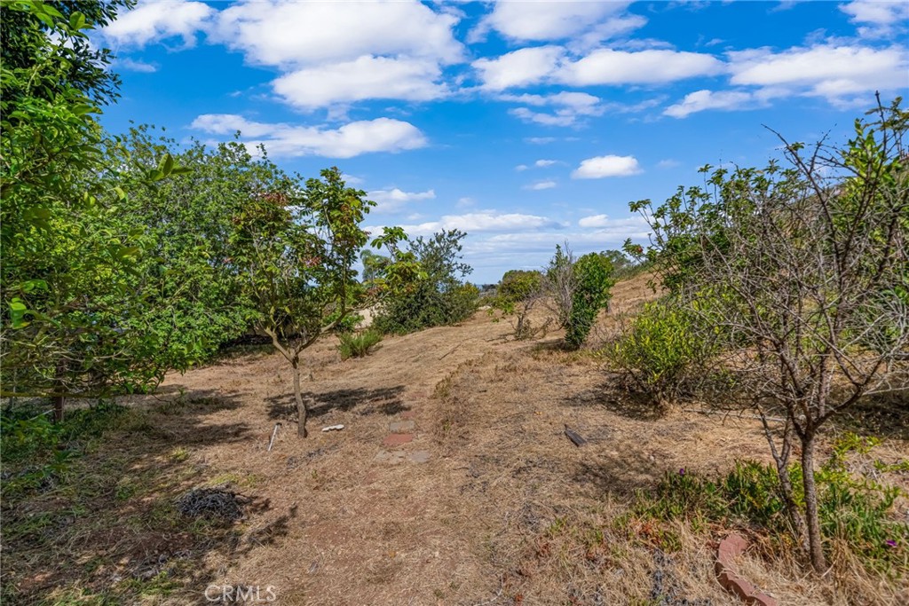 32425 Aqua Vista Property Photo 63