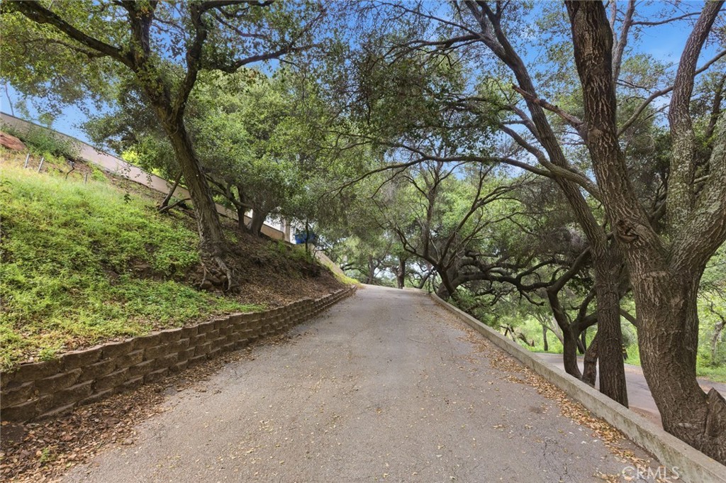 4077 Escondido Property Photo 41