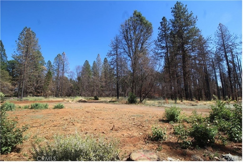 8746 Skyway Property Photo 3