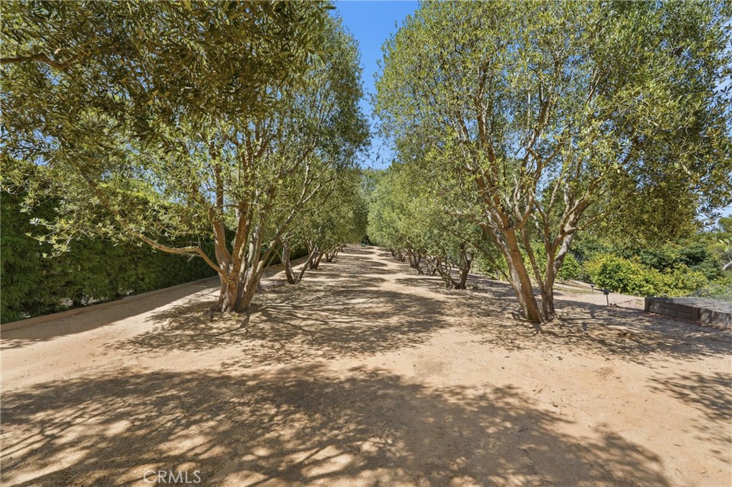 18 E Crest Road Property Photo 14