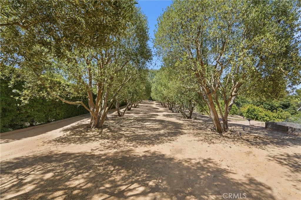 18 E Crest Road Property Photo 15