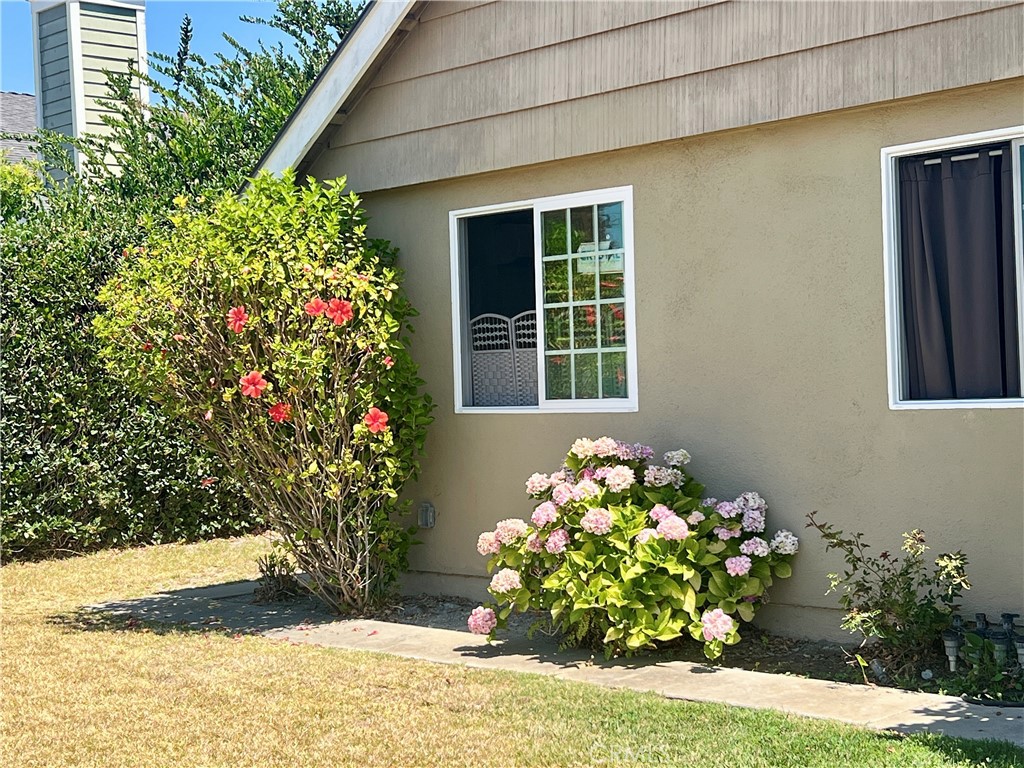 5282 Trinette Property Photo 28