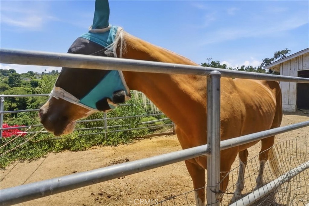 41 Hitching Post Property Photo 42