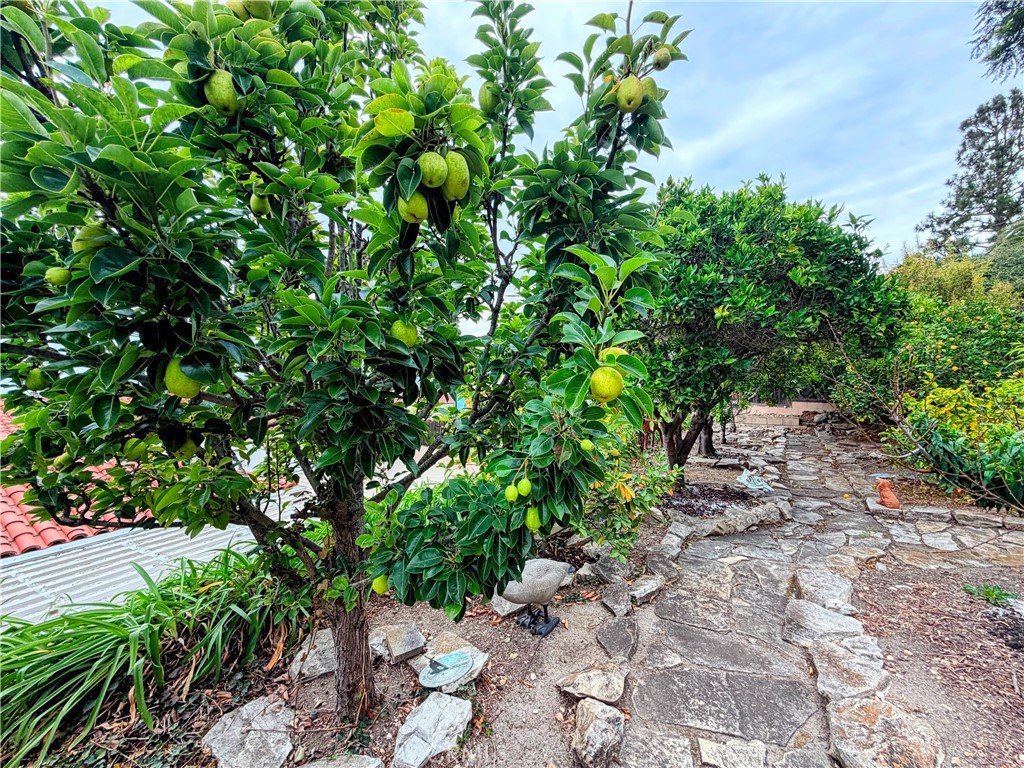 400 Via Almar Property Photo 6