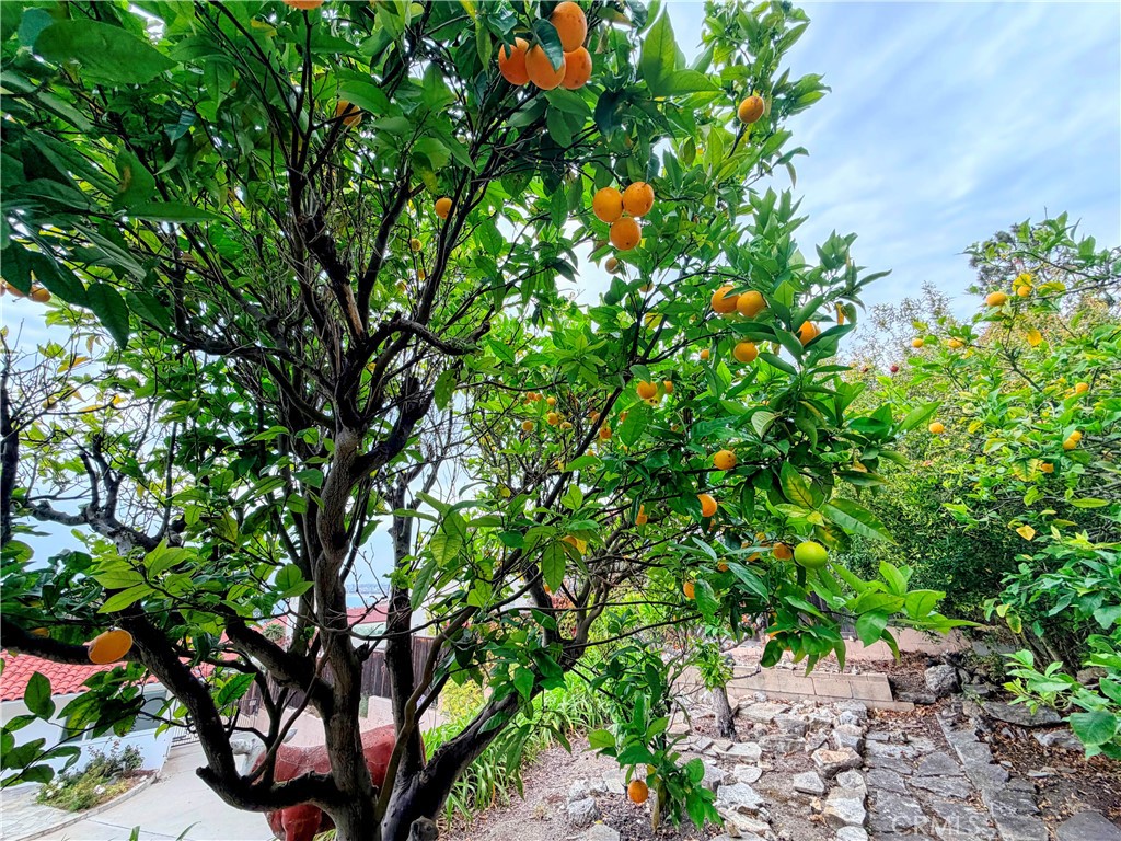 400 Via Almar Property Photo 11