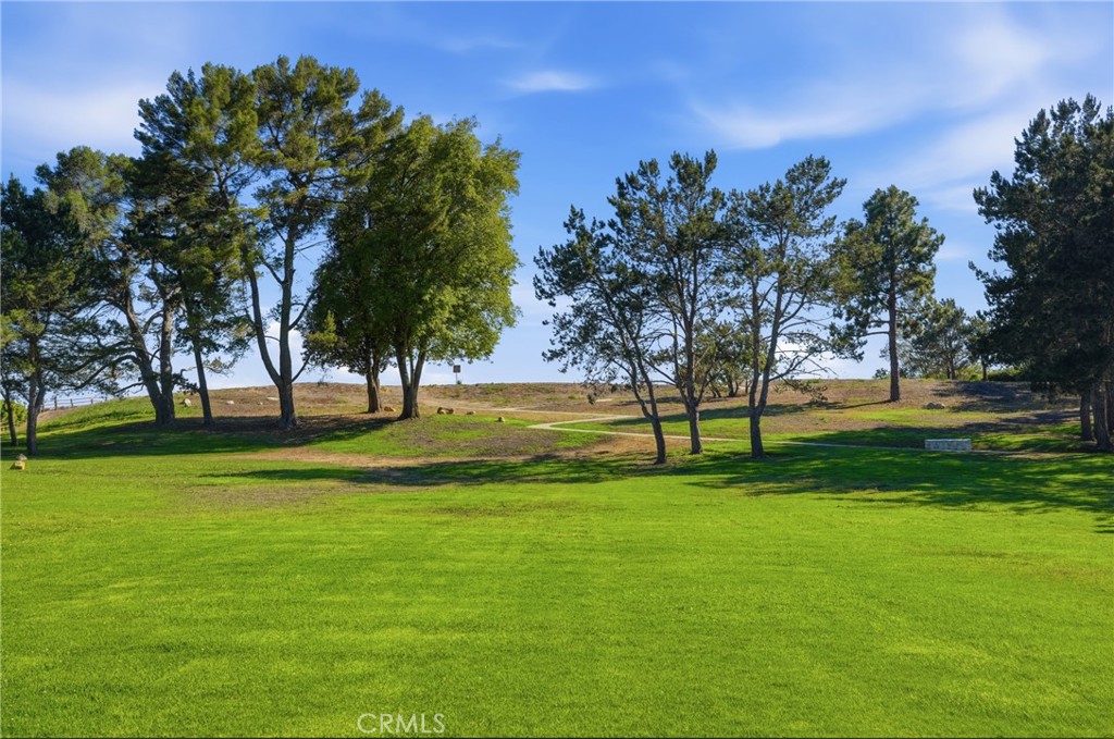 5602 Sunmist Property Photo 42