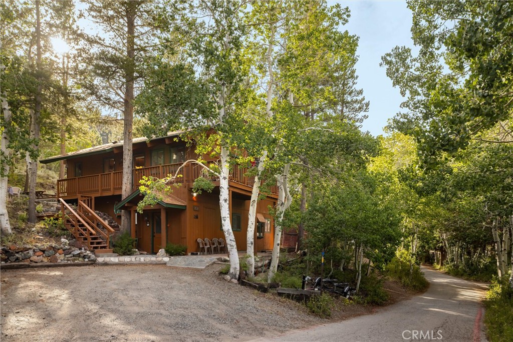 251 Forest Road Property Photo 5