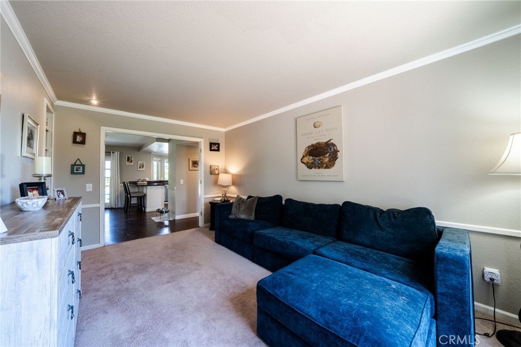 32555 Mcvicar Property Photo 19