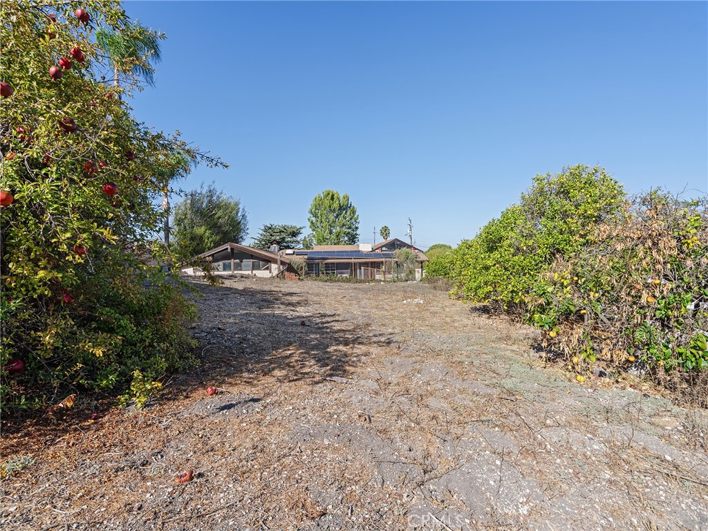 4624 Rollando Drive Property Photo 13