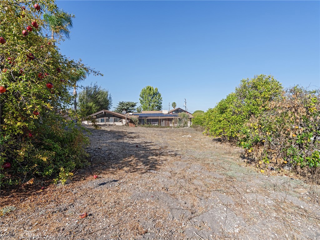 4624 Rollando Drive Property Photo 13