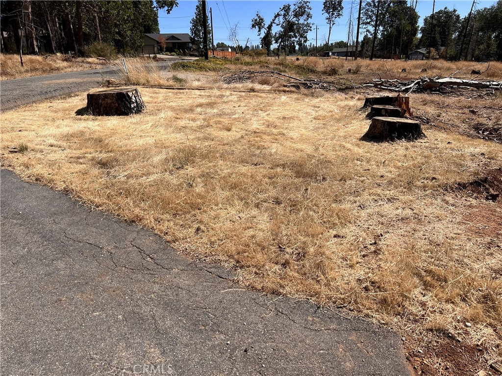6284 Dimitri Court Property Photo 3