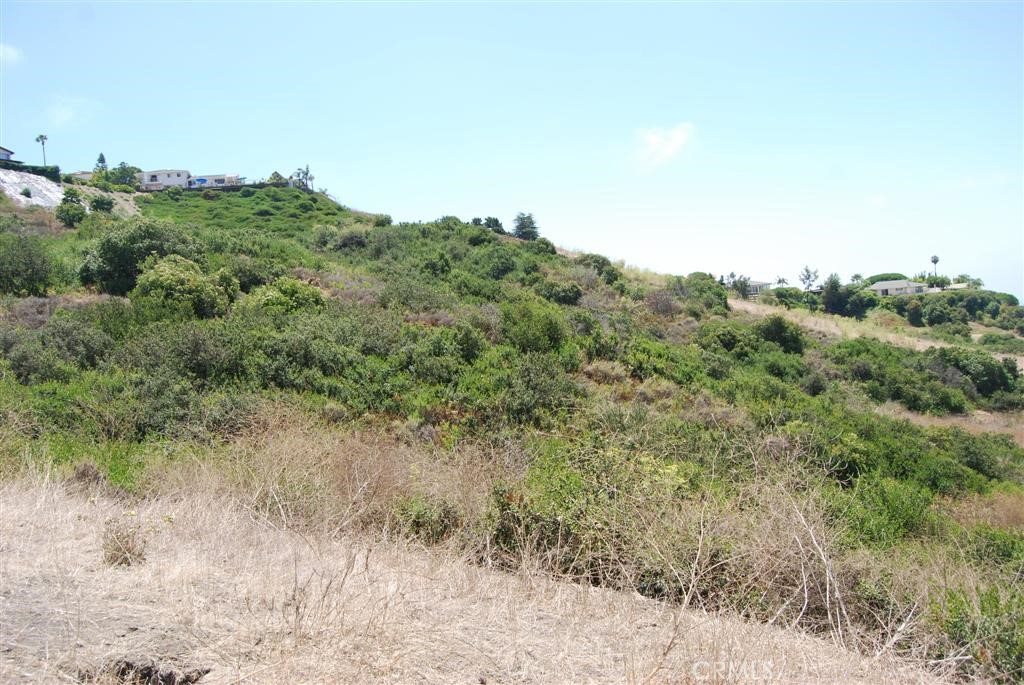 170 Avenida Presidio Property Photo 6