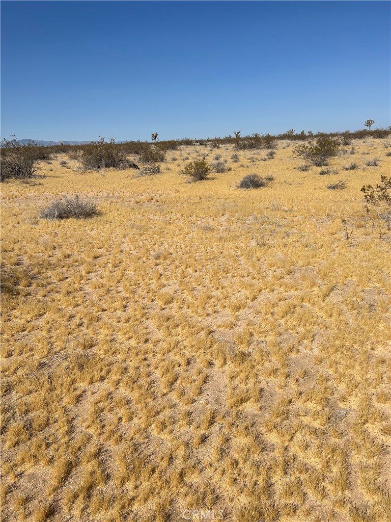 5 Mi N/O Shadow Mt Road Property Photo 1