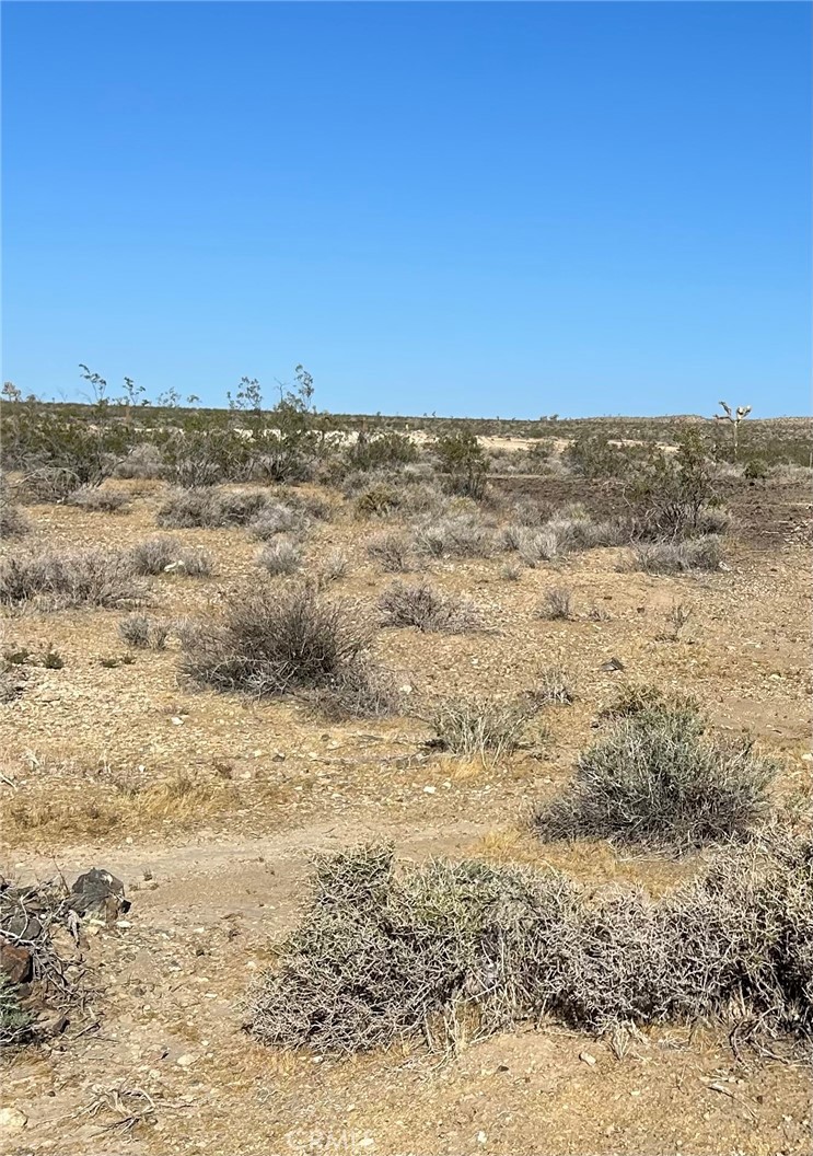 5 Mi N/o Shadow Mt Road Property Photo 2