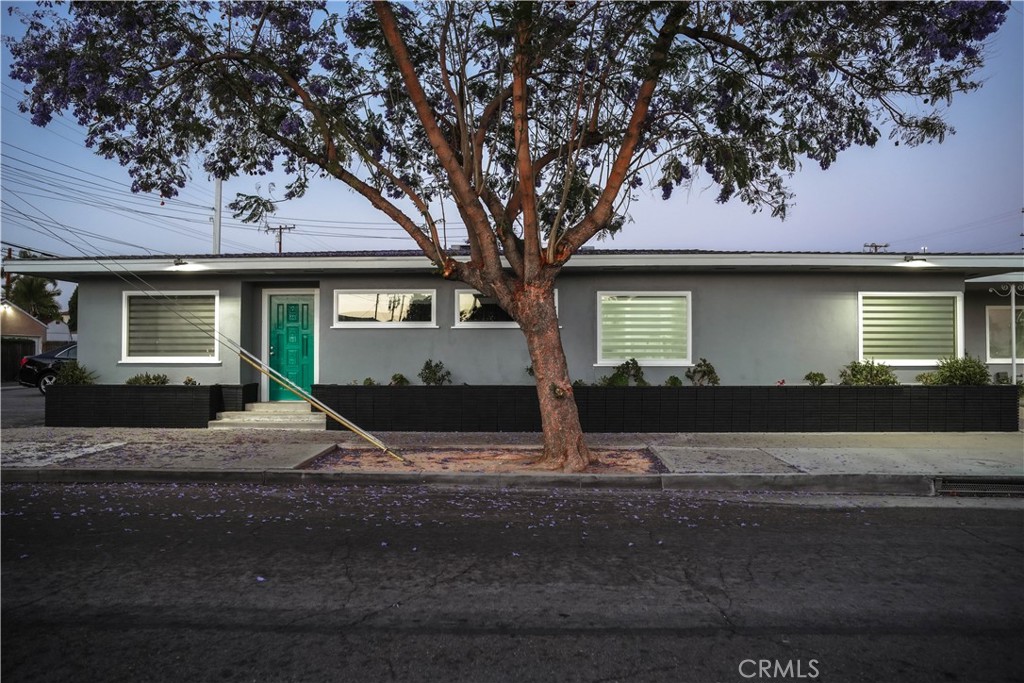 653 W Commonwealth Property Photo 8