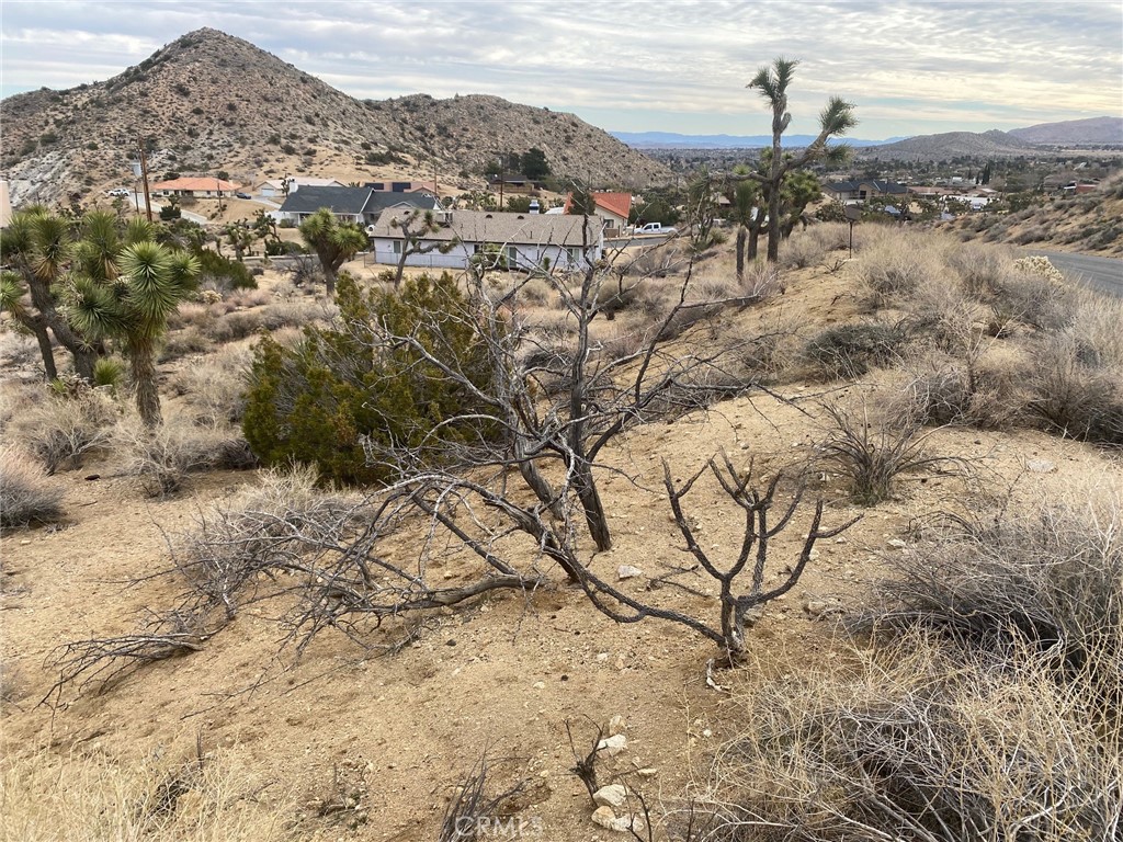 0 Free Gold Drive Property Photo 3