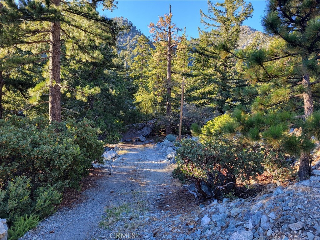 3 Glacier Property Photo 16