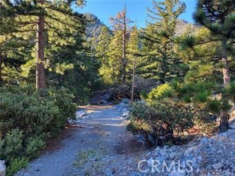3 Glacier Property Photo 18
