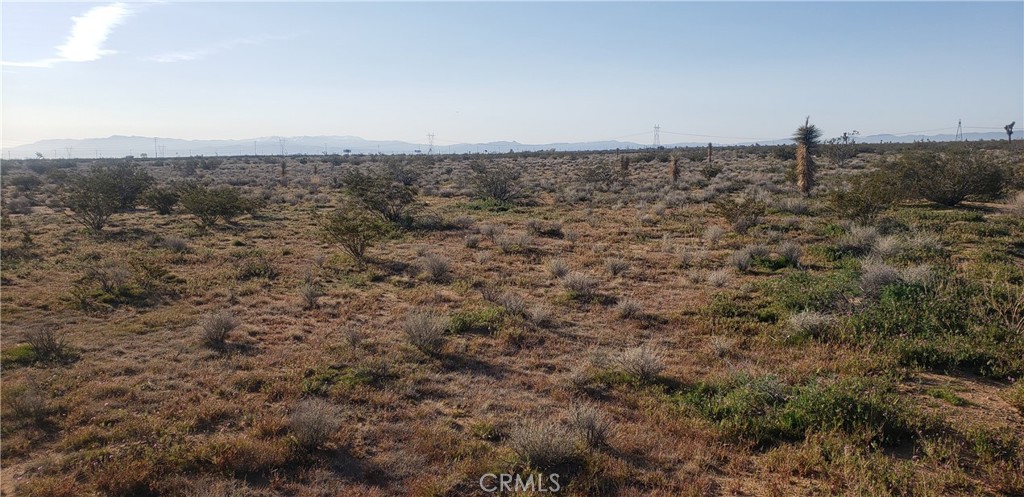 0 Primrose Property Photo 1