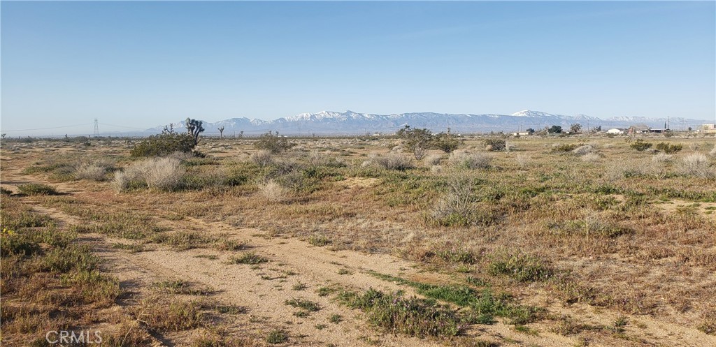0 Primrose Property Photo 2