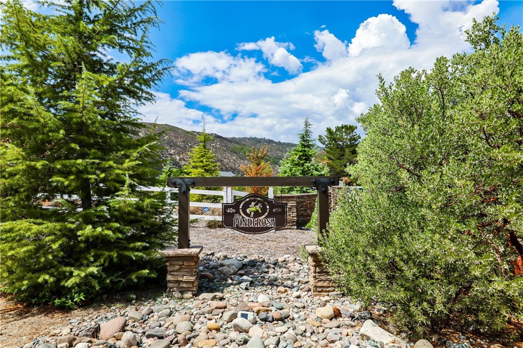 59333 Hop Patch Spring Road Property Photo 6