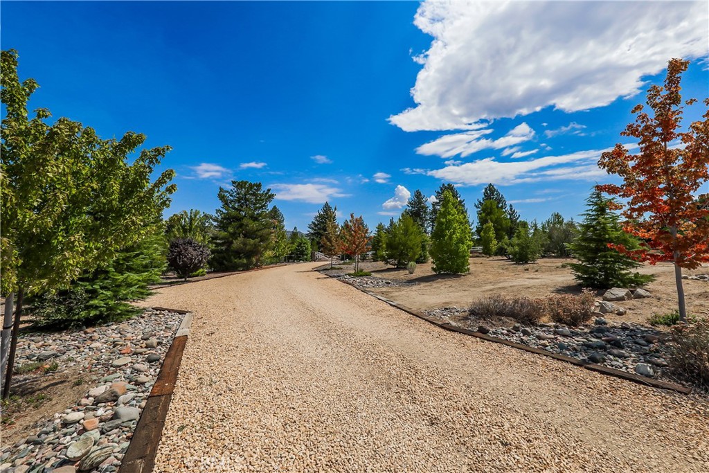 59333 Hop Patch Spring Road Property Photo 33