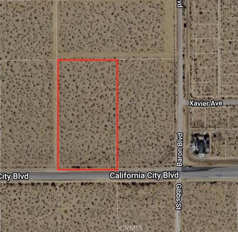 0 California City Boulevard Property Photo 1
