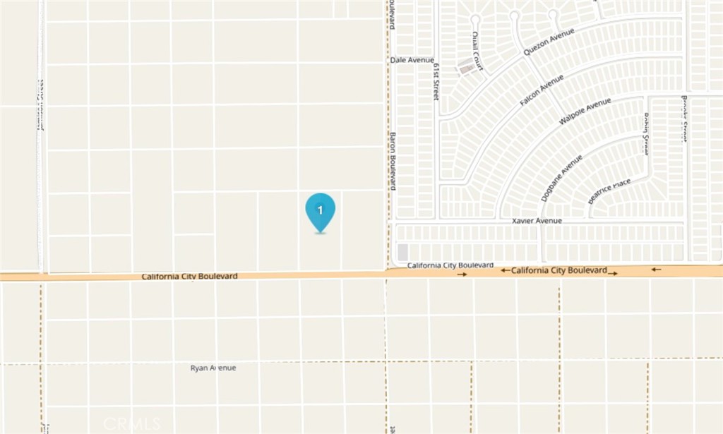 0 California City Boulevard Property Photo 4