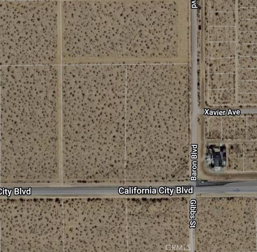 0 California City Boulevard Property Photo 6