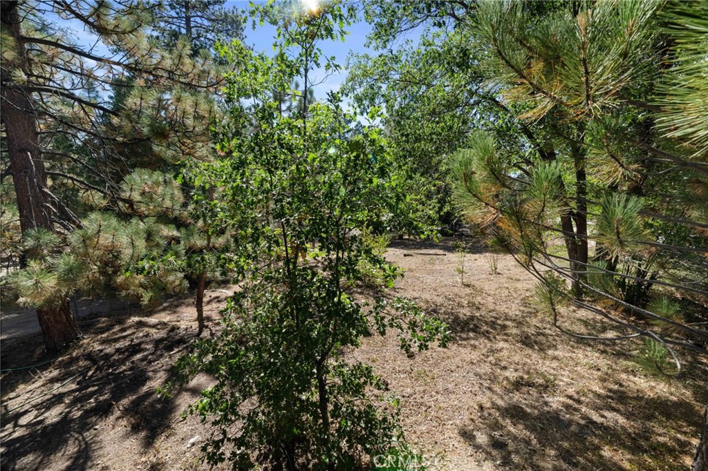 682 Talmadge Road Property Photo 13