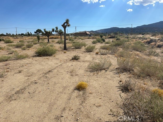 9757 Lebec Road Property Photo 6