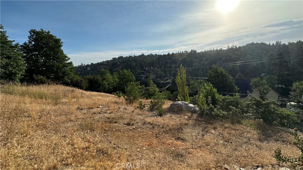 26867 Inyo Court Property Photo 8