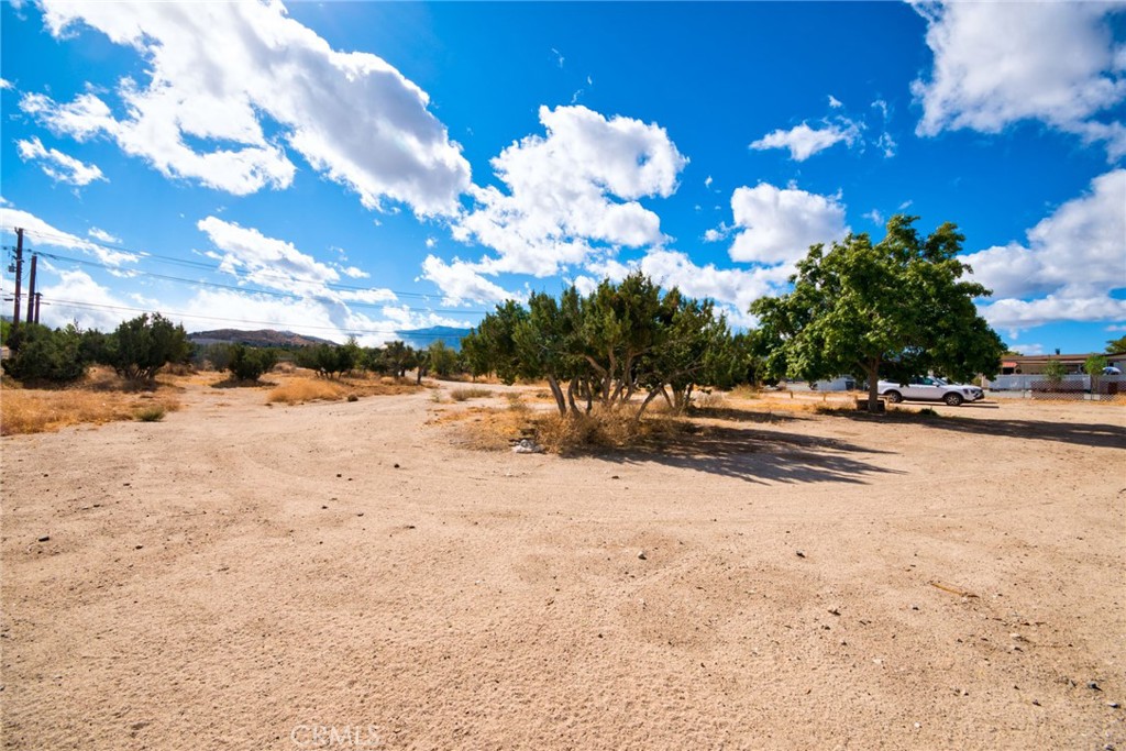 4190 Nielson Road Property Photo 6