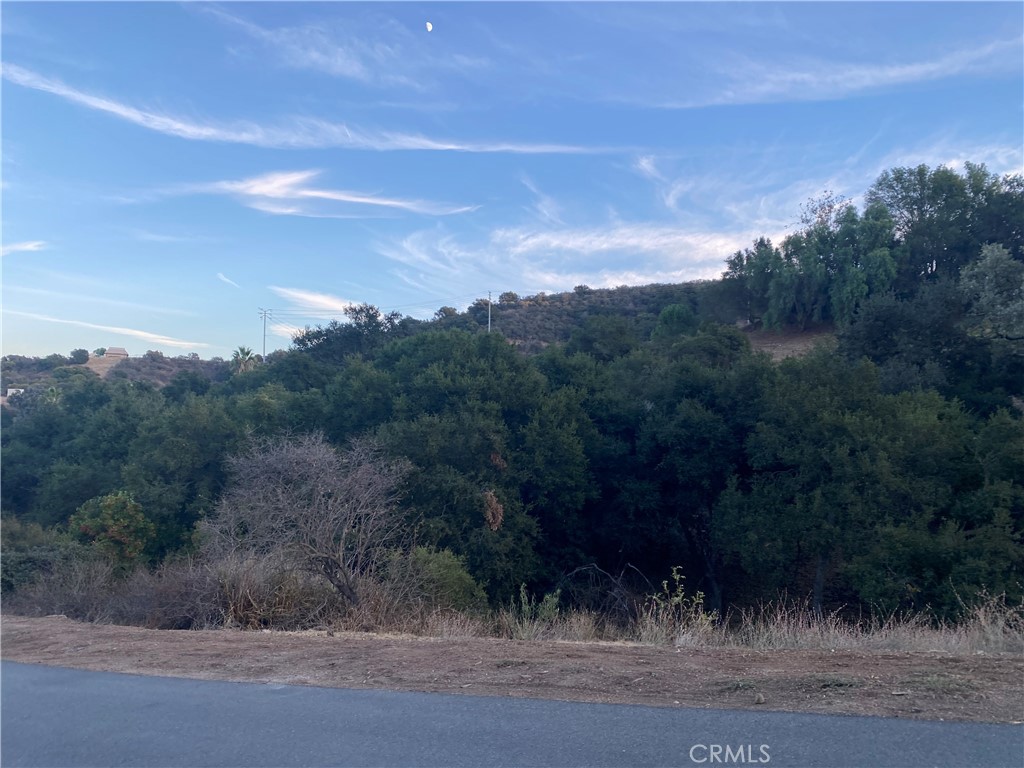 0 S Skyline Dr Drive Property Photo 2