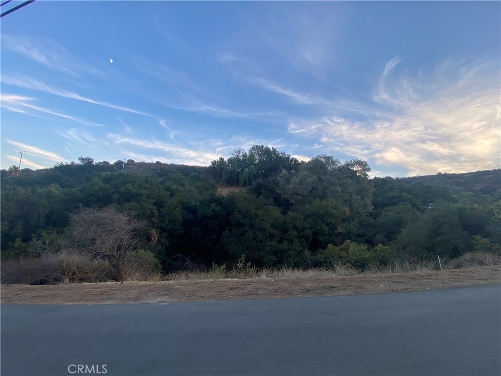 0 S Skyline Dr Drive Property Photo 3
