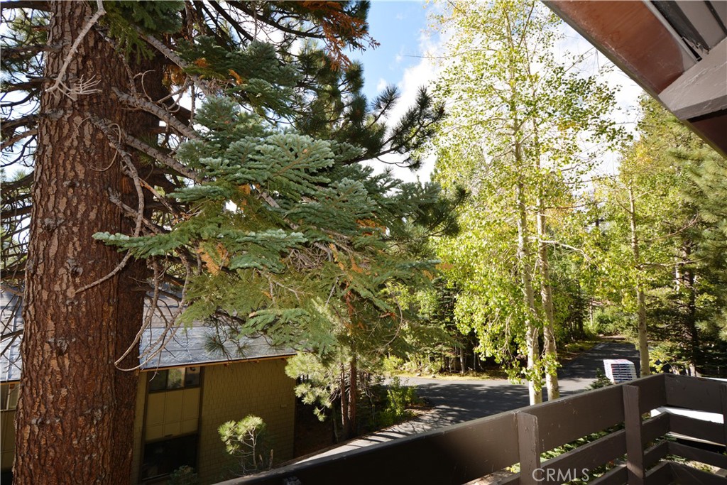98 Tyrol Lane 306 Property Photo 11