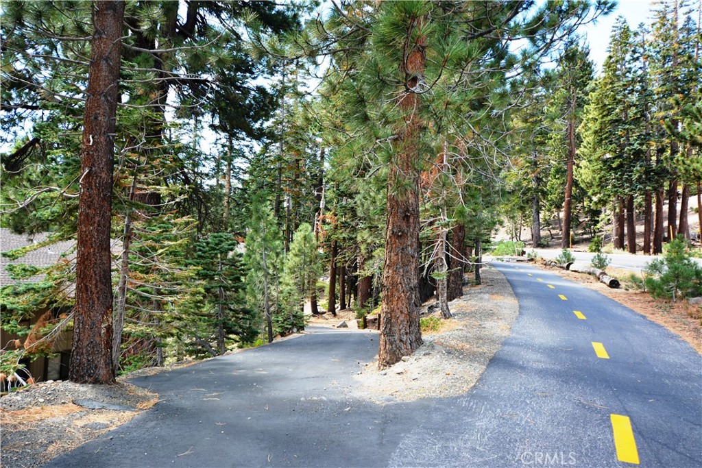 98 Tyrol Lane 306 Property Photo 47