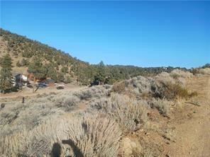 0 Baldwin Property Photo 1