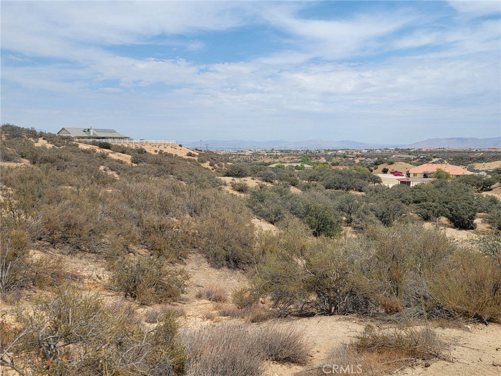 0 Daisy Road Property Photo 6