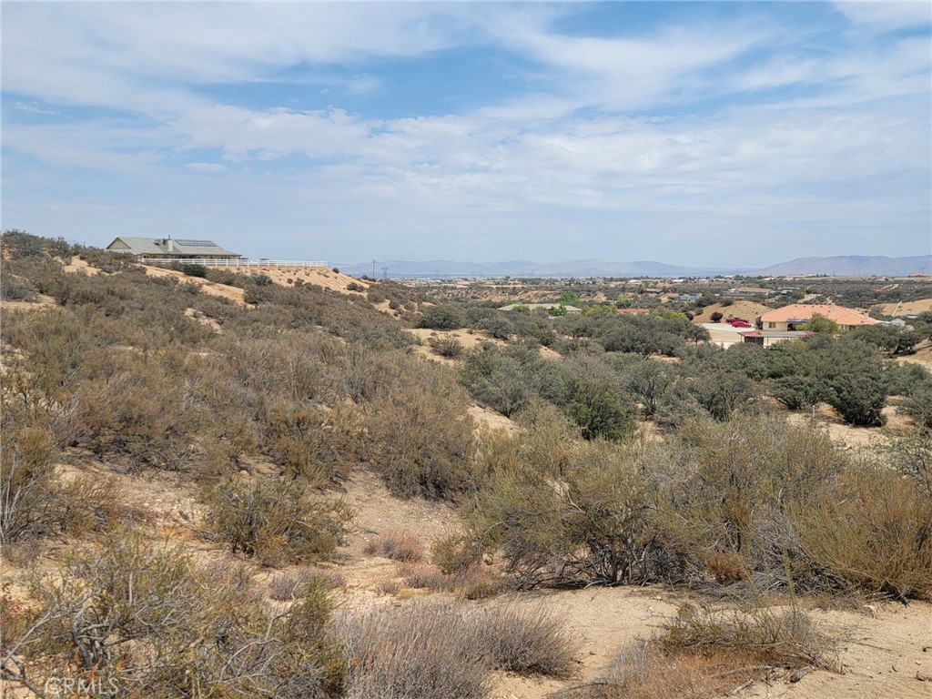 0 Daisy Road Property Photo 6