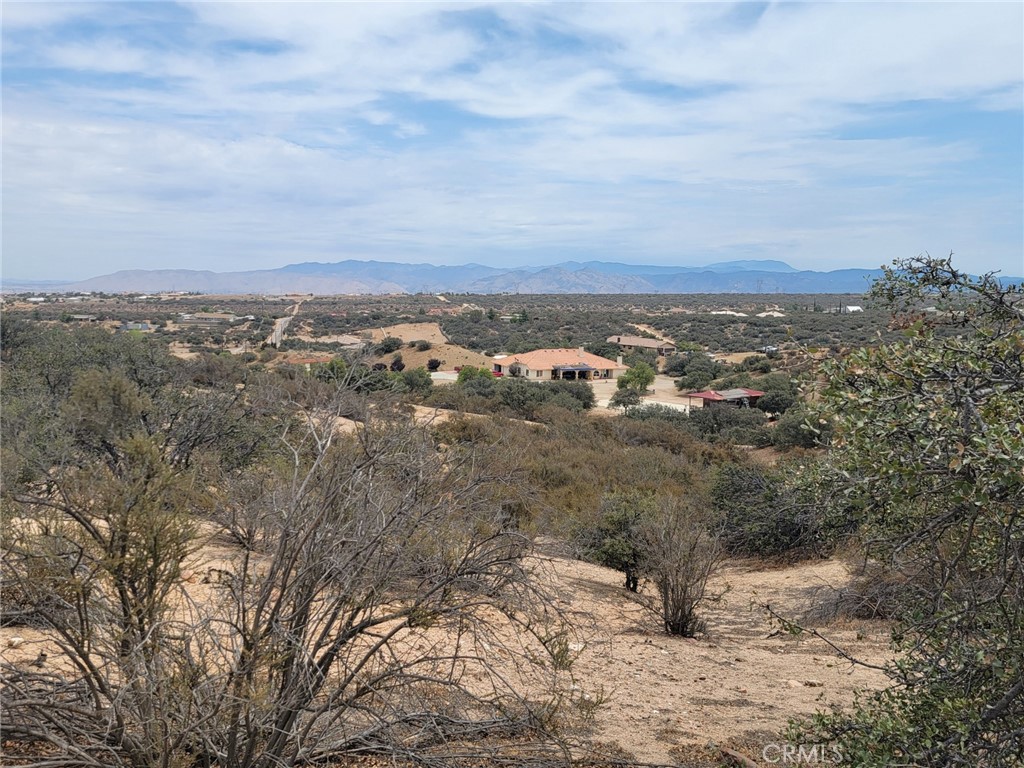 0 Daisy Road Property Photo 12