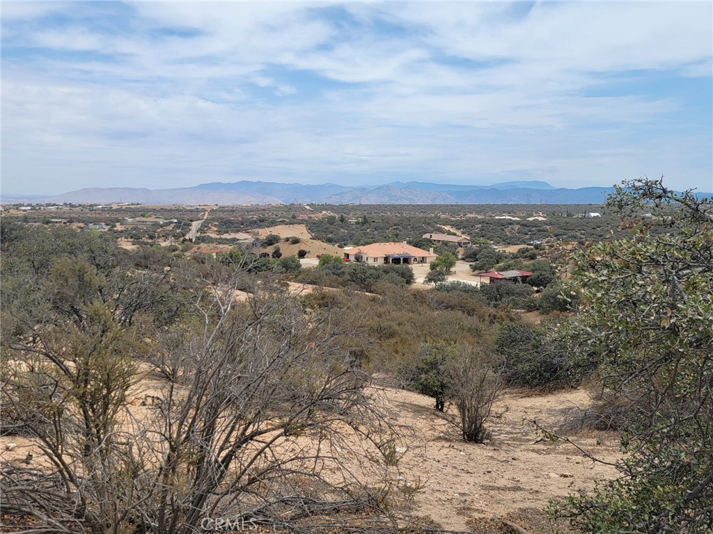 0 Daisy Road Property Photo 12