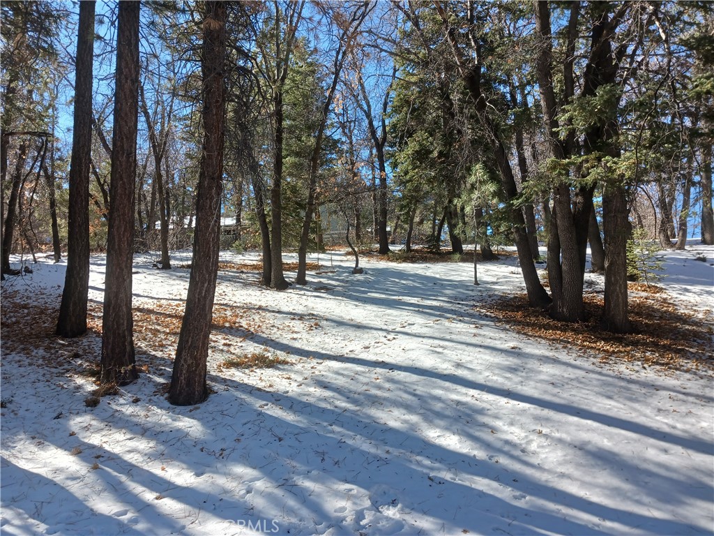 0 Columbine Drive Property Photo 1