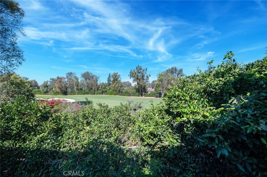4641 N Virginia Road Property Photo 41