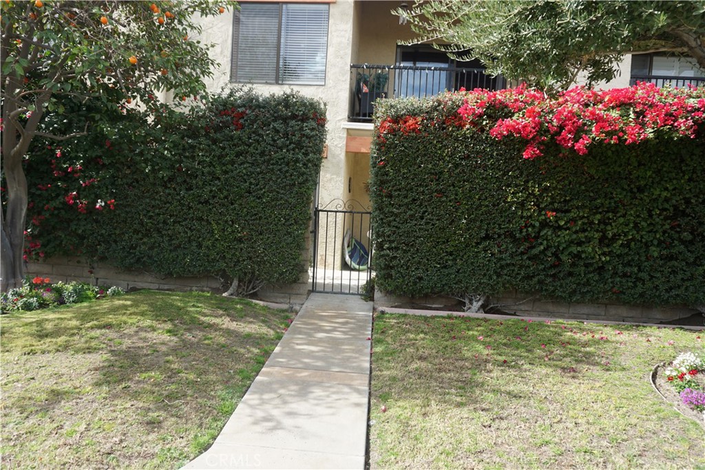 1407 N Sunrise Way 25 Property Photo 7