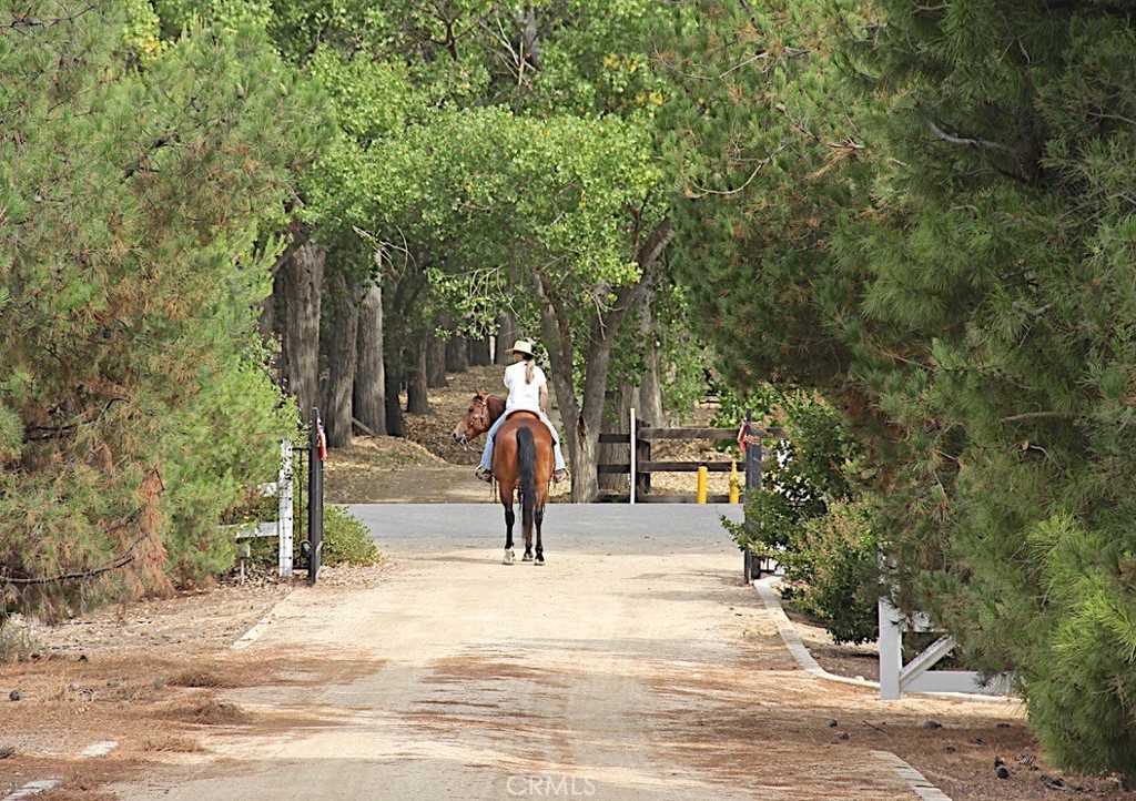 38510 Calle De Lobo Property Photo 1