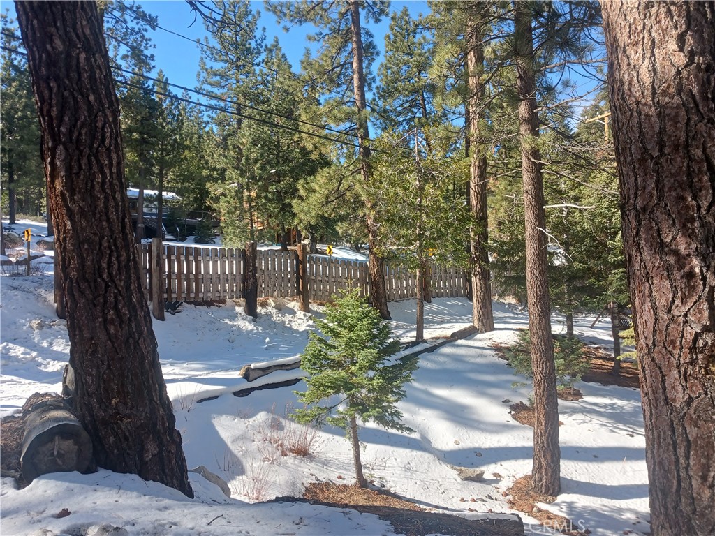 0 Big Bear Boulevard Property Photo 2